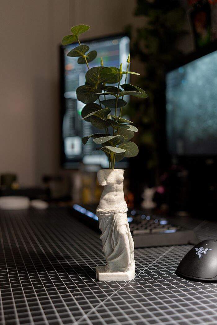 Vaso Venere di Milo stampato in 3D con eucalipto